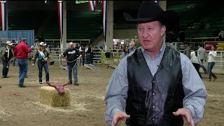 National Western Stock Show in full swing [upl. by Ardnwahs]