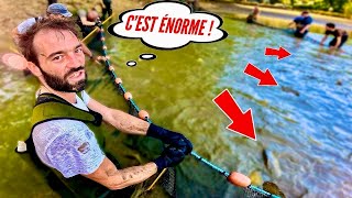 Cet étang se vide après 45 ans et les gros poissons font surface  On les pêche pour les sauver [upl. by Hsac826]