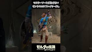 マスターソードが抜けないリンクのコスプレイヤーさんｗｗ【ゼルダの伝説 ブレス オブ ザ ワイルド】 [upl. by Aldora782]