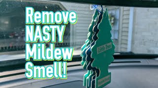 Removing NASTY mildew smell from your cars interior Steps products and tips [upl. by Cioffred741]