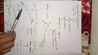 Oligomerization Reaction [upl. by Tan]