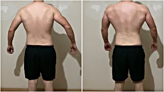 Best 4 Back Muscles Exercises at Home Home Workout [upl. by Livesay]