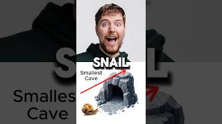 🐌 vs 🐆 – Epic Cave Race Who Wins [upl. by Vincenty607]