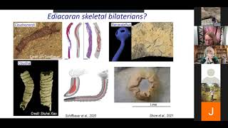 Tracing the roots and drivers of the Cambrian Explosion  Dr Rachel Wood [upl. by Hapte]