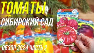 Обзор томатов АФ Сибирский сад Часть2 Томат Малиновые дольки Золотой лотос Сокровище Акмора и тд [upl. by Olia]