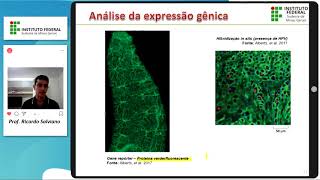 Tecnologias do DNA Recombinante  Parte VII Análise da expressão gênica [upl. by Luckin455]