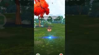 See how I Catch a Pumpkaboo in Pokemon go pokemon pokemongo [upl. by Areic]