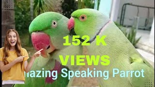 மீண்டும் கேட்க தூண்டும் கிளி பேச்சு கேட்கவா parrot speaks Tamil மறக்காம Subscribe பண்ணுங்க [upl. by Primaveria]