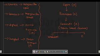 Metagenesis Tumbuhan Lumut [upl. by Eniawd]