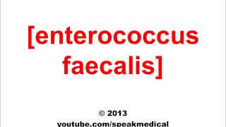 Pronounce Enterococcus Faecalis SpeakMedical [upl. by Goodson975]