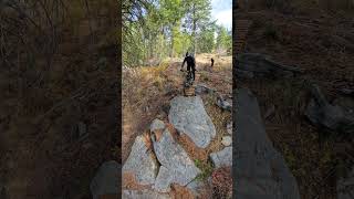 Crawling down some wood features and rock boulders [upl. by Gillan]