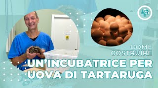 Tartarughe  Come costruire unincubatrice per le uova di tartaruga [upl. by Nnaeus399]