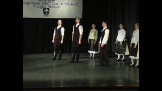 Schaumarer Tanzgruppe Teil 2 Veszprem 2008 [upl. by Ayekehs834]