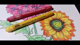 Mungyo Watercolor Crayon Swatch and Review with Sketch [upl. by Esertak748]