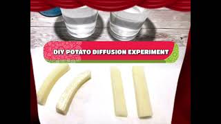 POTATO DIFFUSION EXPERIMENT GCSEIGCSEASA LEVELCBSE [upl. by Killigrew]