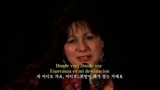 Donde Voy Tish Hinojosa 한글 자막판 전 어디로 가죠 Spanish subtitles [upl. by Nomolas]