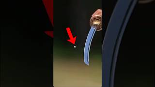 Katana Vs Bullet in Hindi MrBeast Karangaming007b2v [upl. by Crosley956]