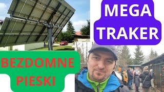 Solar Trackery i Bezdomne Pieski czasem idą razem 🙂🙂 [upl. by Leeth]