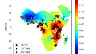 Prevalence of antimalarial drug resistance markers dhfr gene for sulphadoxine pyrimethamine [upl. by Leumhs]