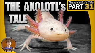 The Axolotls Tale [upl. by Hitt615]