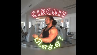 Circuit Training  Peripheral Heart Action Workout [upl. by Retsof896]