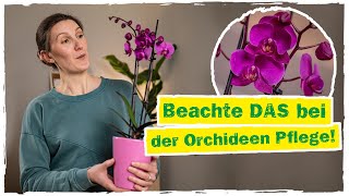 ORCHIDEEN PFLEGE Umtopfen Schneiden Standort amp mehr 🌸 [upl. by Mattox]