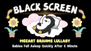 Mozart and Beethoven ♫ Sleep Music for Babies ♫ Mozart Brahms Lullaby ♫ Black Screen [upl. by Inamik]