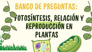 Práctica de biología Fotosíntesis relación y reproducción en plantas [upl. by Scotney]