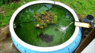 Initial results for Pressurized homemade pond filter made from rain barrel [upl. by Martinsen]