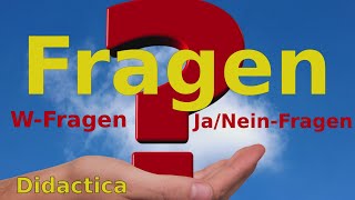 Fragen auf Deutsch WFragen amp JaNeinFragen A1 [upl. by Chemesh]