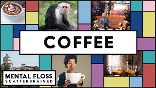 Coffee Facts and Life Hacks  Mental Floss Scatterbrained [upl. by Gorrono]