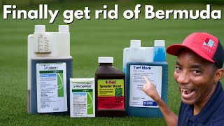 Get Rid of Bermudagrass in Your Zoysia and St Augustine Lawn with this POTENT Combo [upl. by Ardnasac]