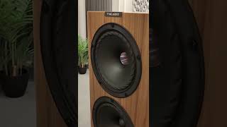 Fyne Audio F703SP unboxing speakers hifiaudio [upl. by Piegari]