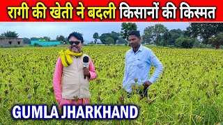 Ragi Ki Kheti Ne Badli Kismat quotGumla Jharkhandquot omprakashausar [upl. by Ahsieket]