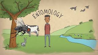 What is an entomologist [upl. by Micky]