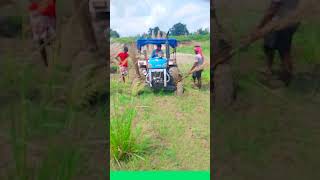 Powertrac 55 tractor বসে গিয়েছে 😱 [upl. by Mariko702]