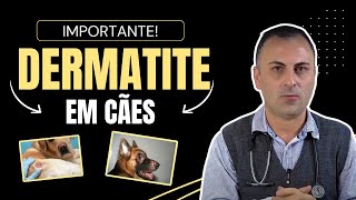 Dermatite EM cães [upl. by Shenan]