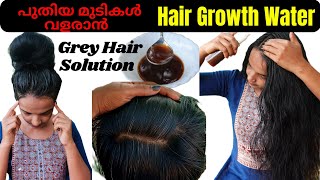 Best hair growth water for faster hair growth❤Best grey hair solution at home❤Get black hair [upl. by Thorncombe333]