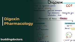 Digoxin  Digoxin mechanism of action  Digoxin toxicity [upl. by Nielson]