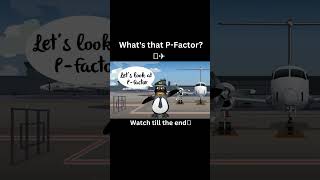 PFactor 😨 Important for Airplane Watch till the end 😨👉 aviationschool airplane [upl. by Efrem552]