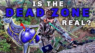 Is the DEAD ZONE REAL Pre Rut Deer Hunting [upl. by Lledyr]