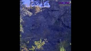 hike  Mount Hawthorne  Okanagan Falls BC Canada camoflauge blackbear scary hiding fall [upl. by Corbet767]