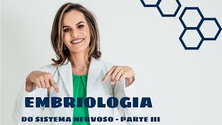 Embriologia do Sistema Nervoso Parte  3 [upl. by Suirradal450]