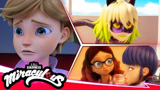 MIRACULOUS  🐞 COMPILATION 4  SEASON 5 🐾  Tales of Ladybug amp Cat Noir [upl. by Darda518]