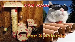 como hacer gimnasio rascador para gatos CASERO  con material reciclado [upl. by Tyrus]