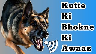 Kutte Ki Awaaz  Kutta Ki Awaaz Wali Video  Dog Voice Kutte Ki Bhonkne Ki Awaz  Dog Barking Sound [upl. by Hgieliak483]