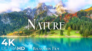 Nature Relaxation Film 4K  Beautiful Relaxing Music  Video Ultra HD [upl. by Leagiba20]