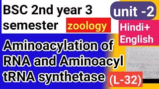 Bsc 2nd year 3semster zoology topic Aminoacylation of RNA and Aminoacyl tRNA synthetase [upl. by Eerrehc]