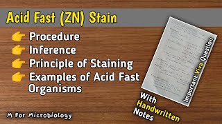 Acid Fast Ziehl Neelsen Stain  Procedure  Inference  Principle  Example of Acid Fast Organisms [upl. by Eillod]