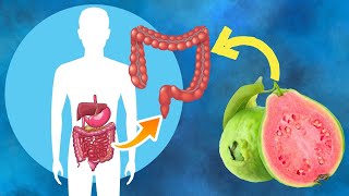 Top 10 Fruits To Cleanse Your Colon Eliminate The Toxins [upl. by Gusty]